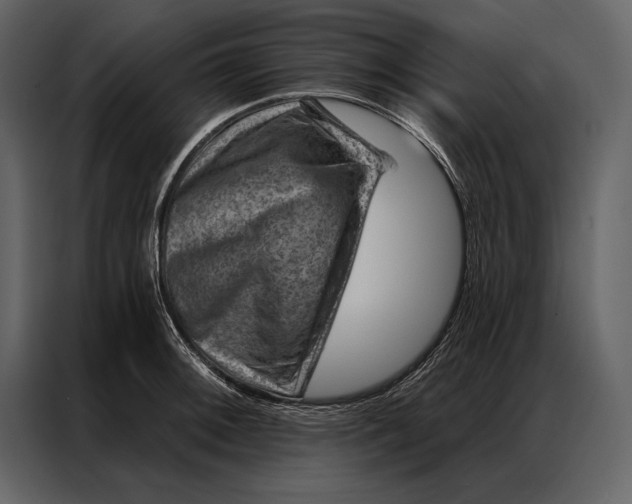 X0000087001092200705071501