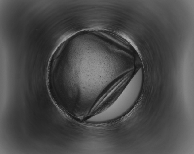 X0000087001093200705071501