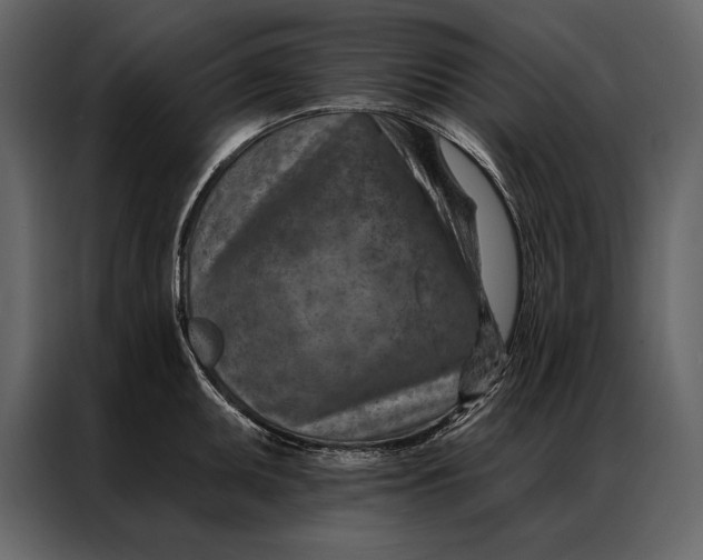 X0000087001095200705071501