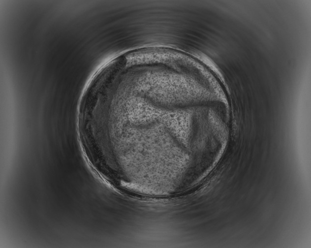 X0000087001096200705071501