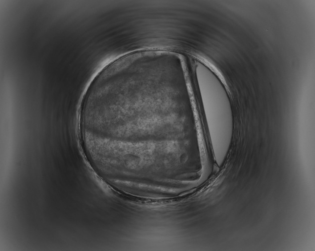 X0000087001099200705071501