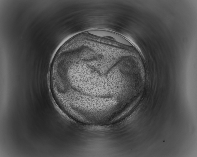 X0000087001100200705071501