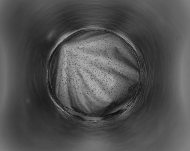 X0000087001101200705071501