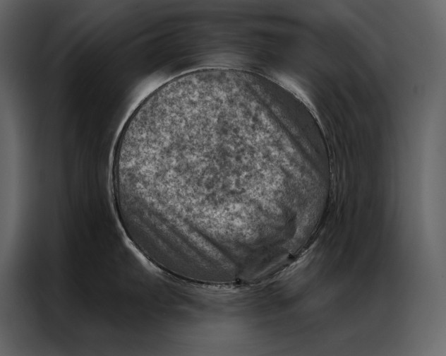 X0000087001103200705071501