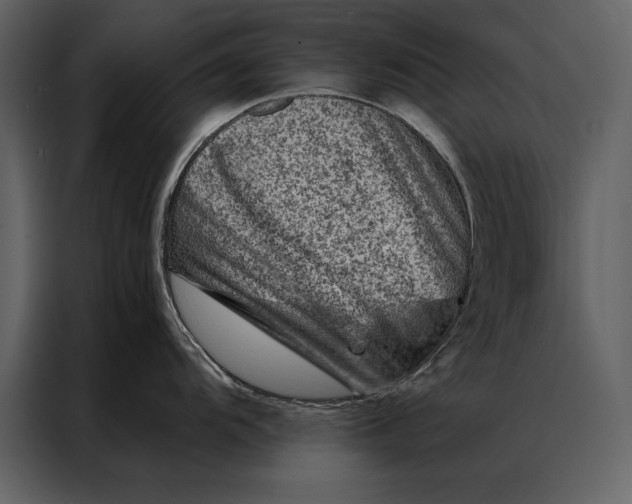 X0000087001104200705071501