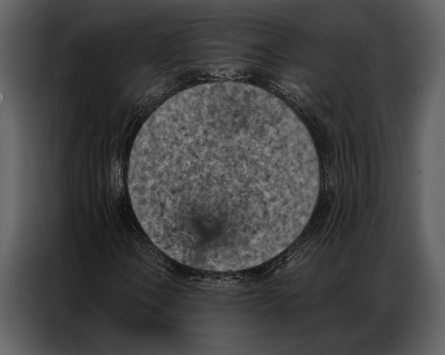 X0000087001106200705071500