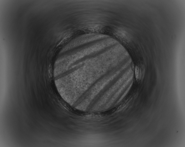 X0000087001107200705071500