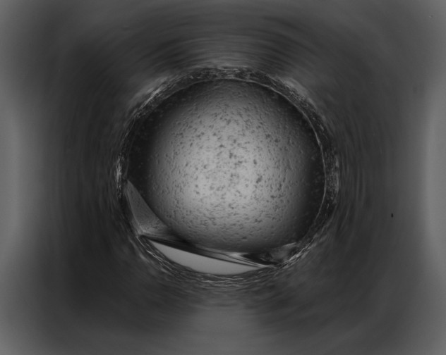 X0000087001110200705071500