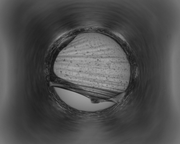 X0000087001112200705071500