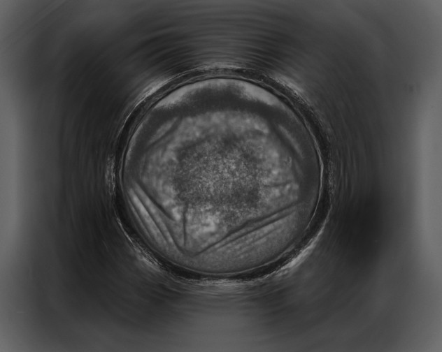 X0000087001113200705071500