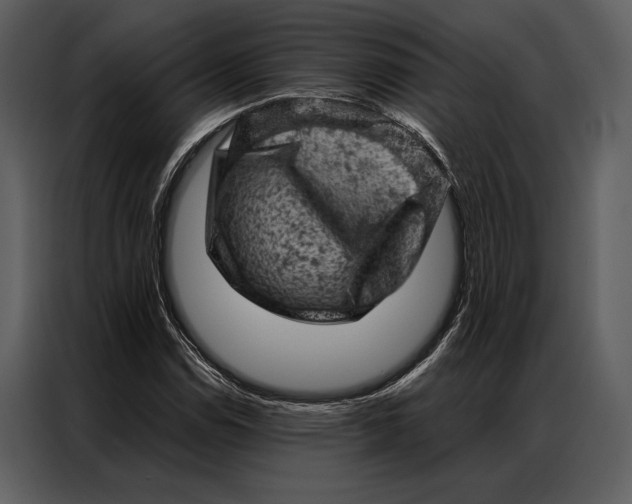 X0000087001114200705071500