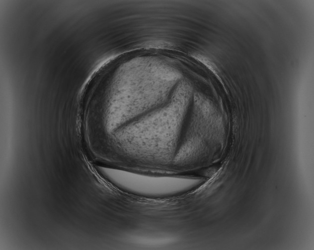 X0000087001115200705071500