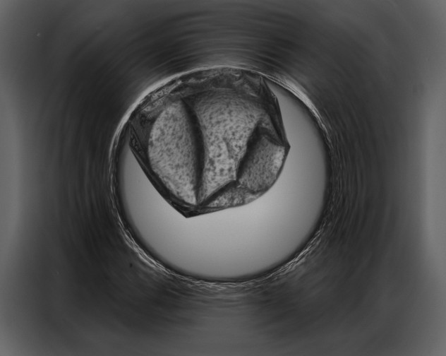 X0000087001116200705071500