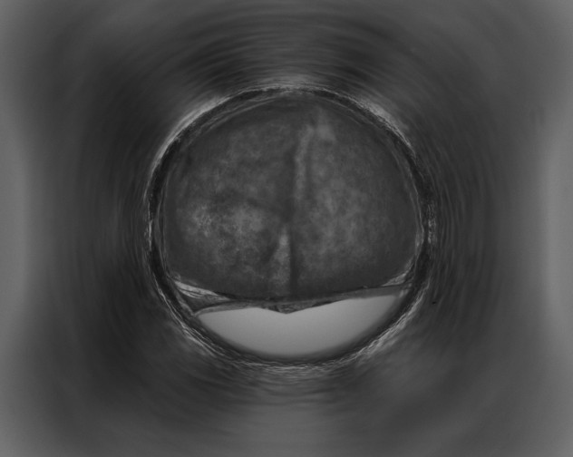 X0000087001117200705071500