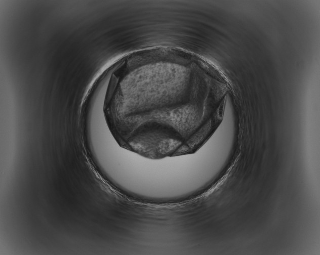 X0000087001118200705071500