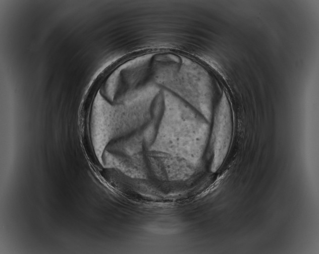 X0000087001119200705071500