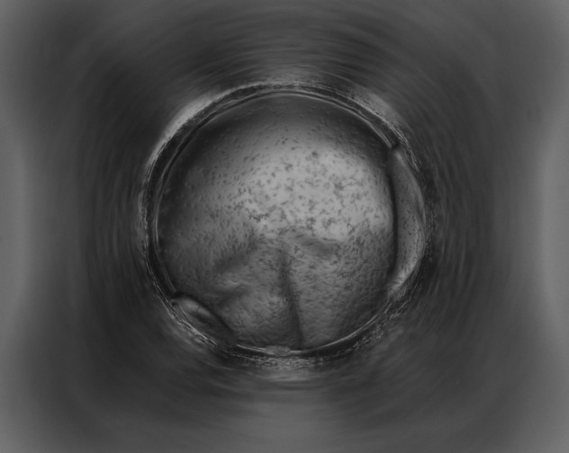 X0000087001120200705071500