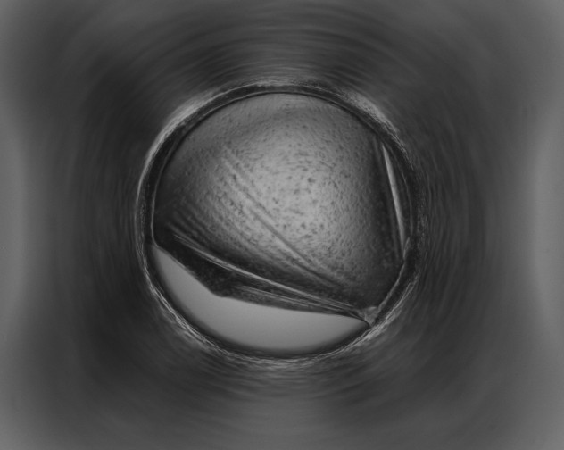 X0000087001122200705071500