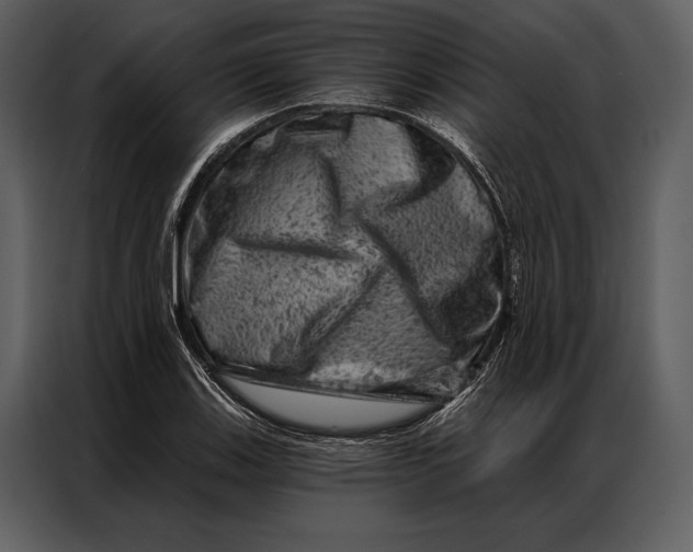 X0000087001123200705071500