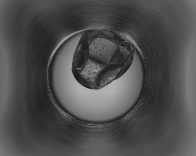 X0000087001124200705071500