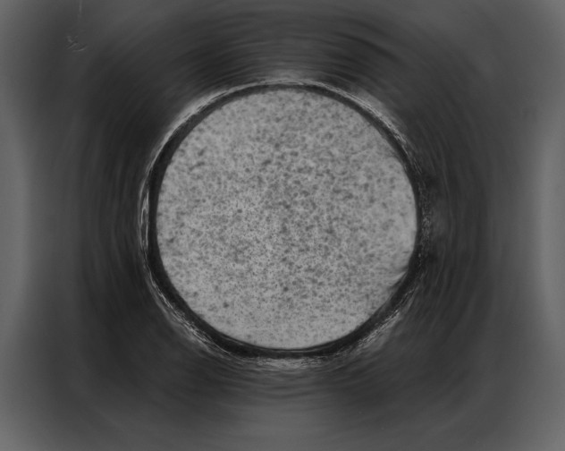 X0000087001126200705071500