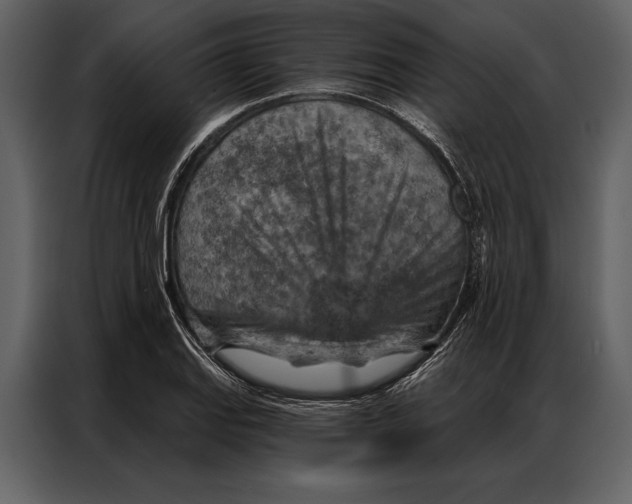 X0000087001127200705071500