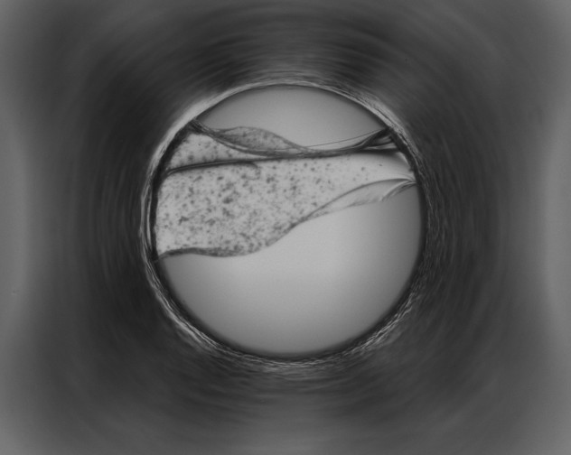 X0000087001128200705071500