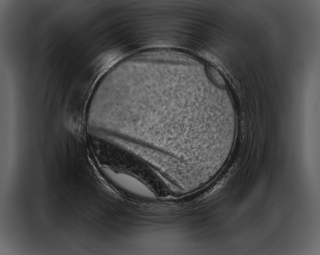 X0000087001129200705071501