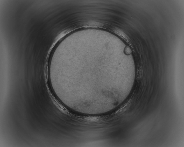 X0000087001130200705071501