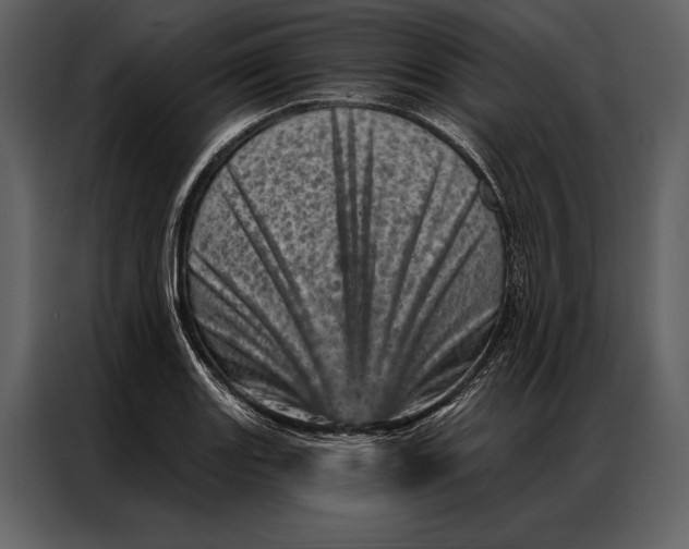 X0000087001131200705071501