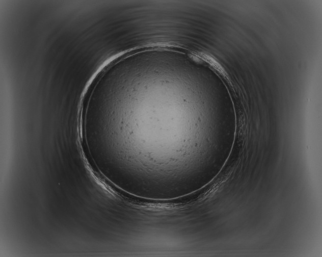 X0000087001132200705071501