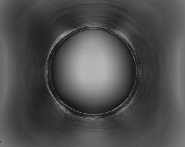 X0000087001133200705071501