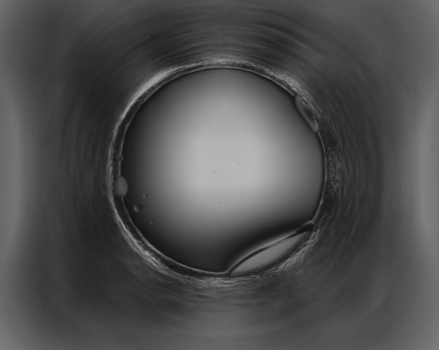 X0000087001134200705071501