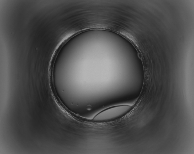 X0000087001135200705071501