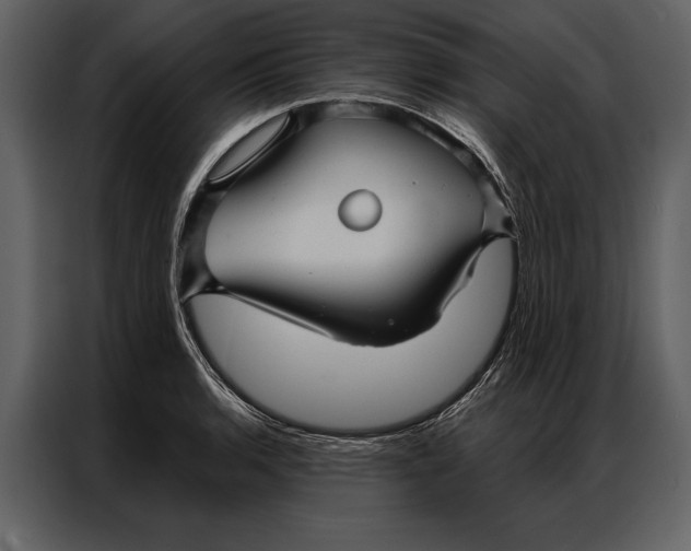 X0000087001136200705071501