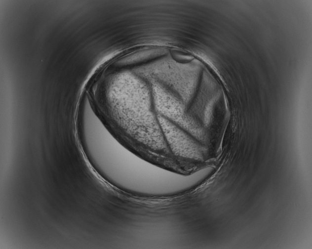 X0000087001139200705071501