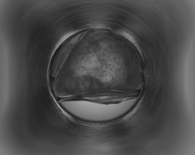 X0000087001141200705071501