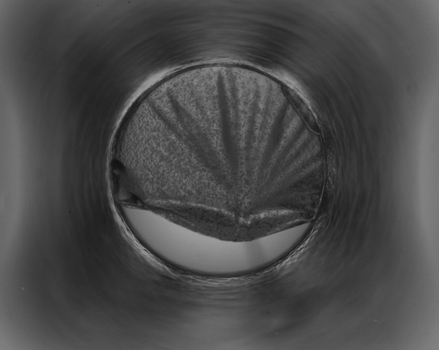 X0000087001142200705071501