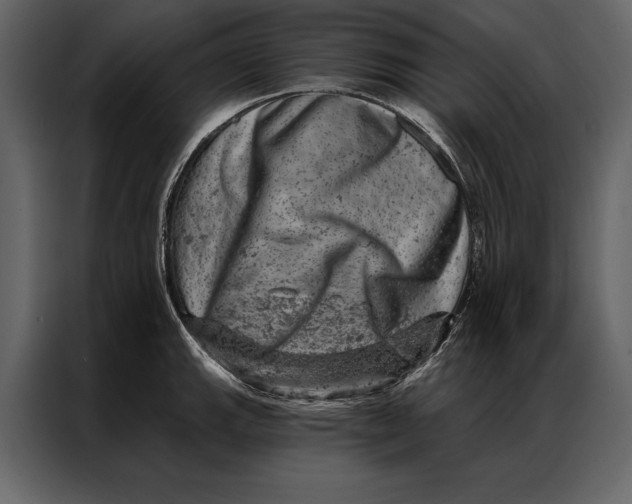 X0000087001143200705071501