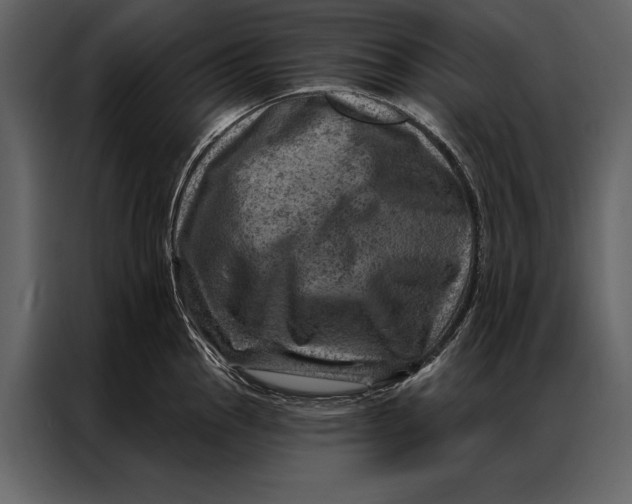 X0000087001145200705071501