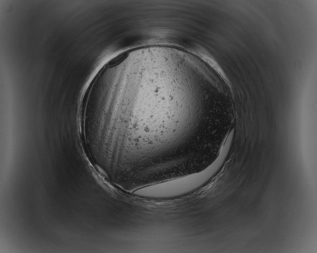 X0000087001148200705071501