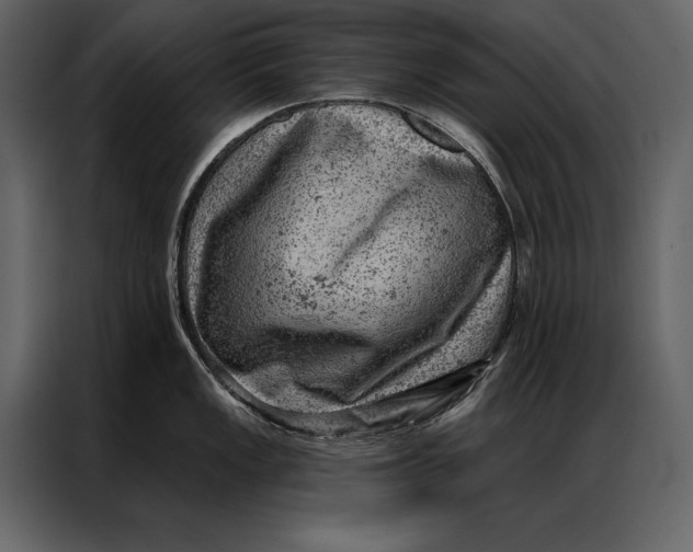 X0000087001149200705071501