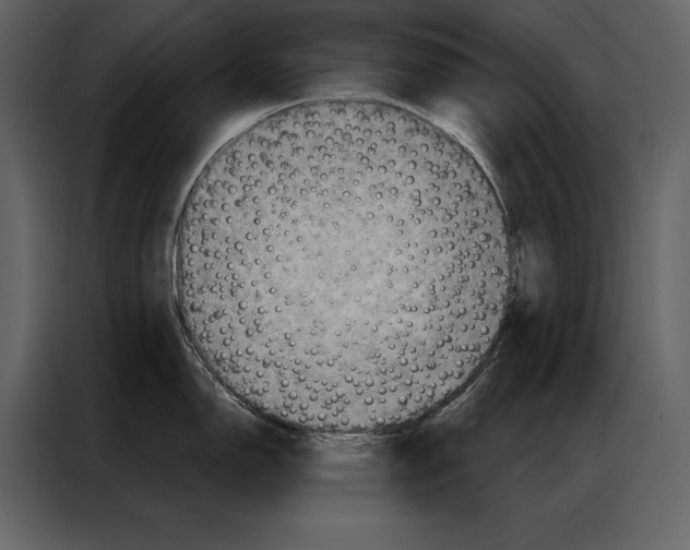 X0000087001150200705071501