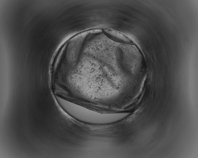 X0000087001151200705071501