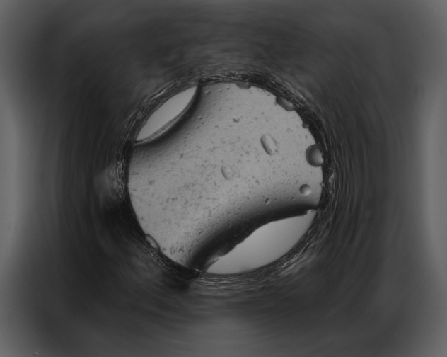 X0000087001156200705071500