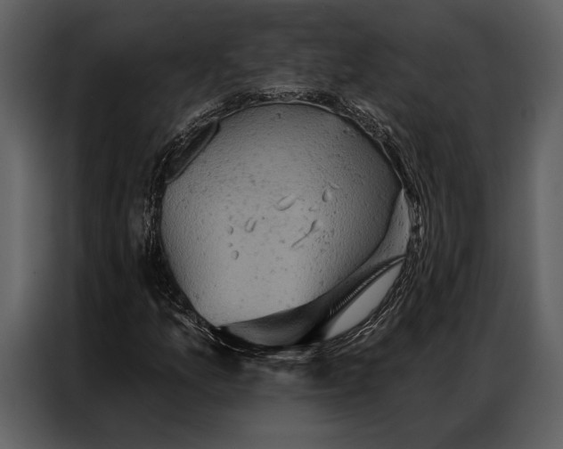 X0000087001157200705071500