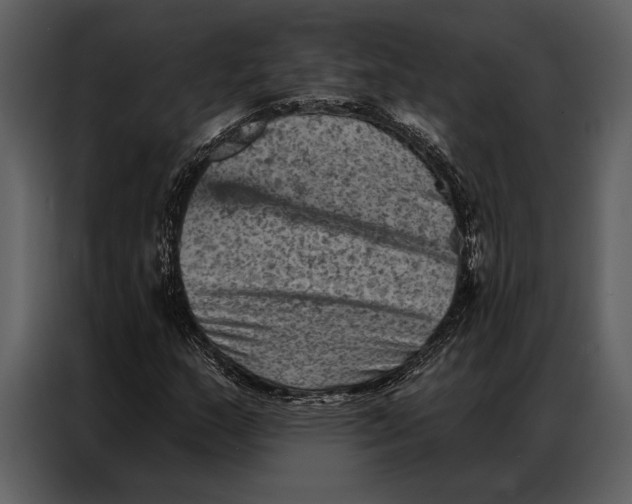 X0000087001159200705071500