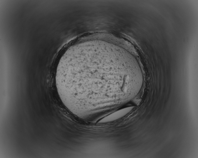 X0000087001160200705071500