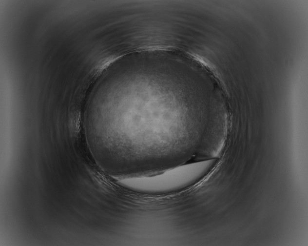 X0000087001161200705071500