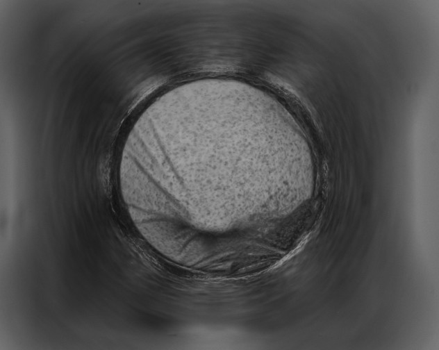 X0000087001162200705071500